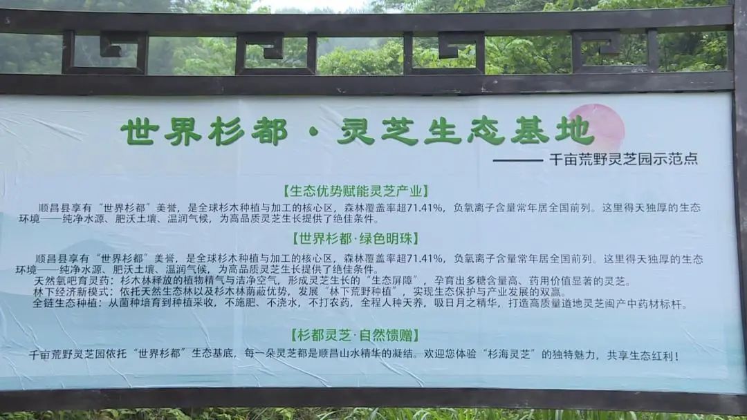 0508巧用互联网直播 助力文旅经济发展VA0[00-00-23][20250512-1108113